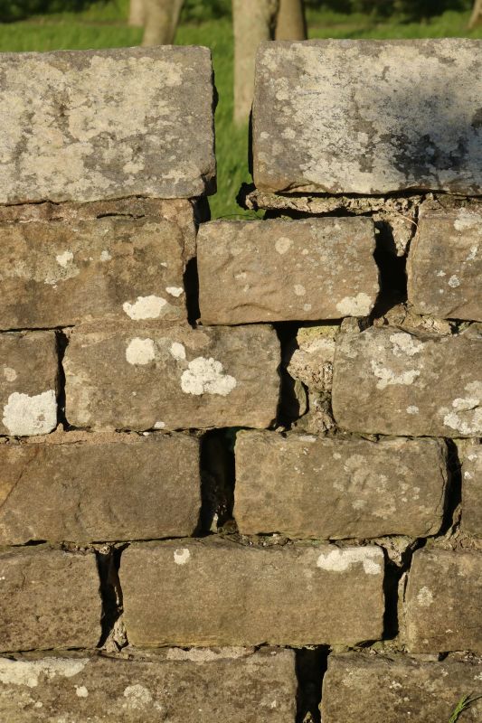Stone Column Repair in Plano, TX